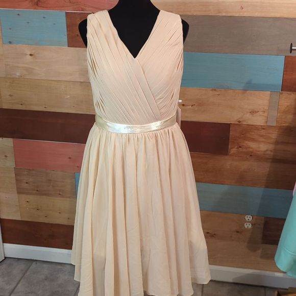 lilys dress Dresses & Skirts - NWT SIZE 14 blush pink formal dress